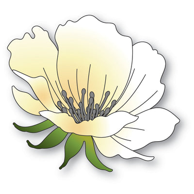 Memory Box - Dies - Anemone Bloom