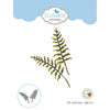 Elizabeth Craft Designs - Dies - Ladder Fern
