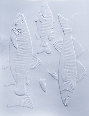 Memory Box - Dies - Freshwater Fish 3D Embossing Folder and Matching Dies (Pre-Order)