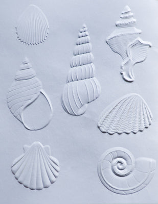 Memory Box - Dies - Dazzling Seashells 3D Embossing Folder and Matching Dies (Pre-Order)