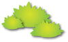 Dee's Distinctivley Dies - Garden Shrubs