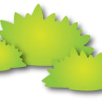 Dee's Distinctivley Dies - Garden Shrubs