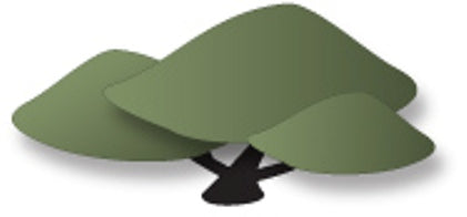 Dee's Distinctivley Dies - Cedar Shrub