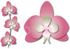 Dee's Distinctively Dies - Orchid 1
