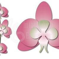Dee's Distinctively Dies - Orchid 1