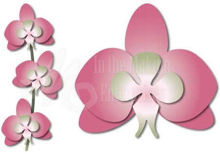 Dee's Distinctively Dies - Orchid 1