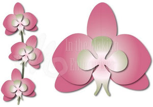 Dee's Distinctively Dies - Orchid 1