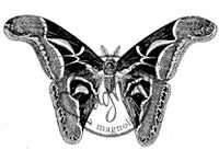 Magnolia Stamps - Once Upon A Time Coll. - Big Butterfly #1194