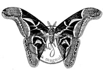 Magnolia Stamps - Once Upon A Time Coll. - Big Butterfly #1194