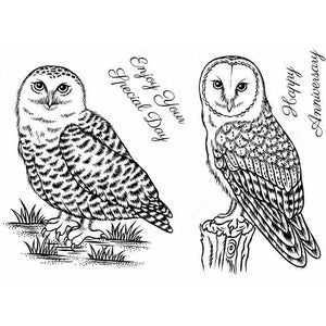 Sweet Dixie - Clear Stamps - Snowy Owl & Barn Owl